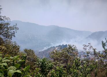 Pese a persistencia en reactivar incendios, se combatieron en su totalidad en Acaxochitlán
