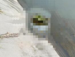 Hallan cadáver envuelto en plástico en canal de Tezontepec de Aldama