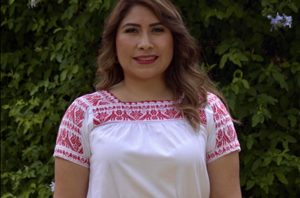 Araceli Beltrán fue notificada por el Consejo Local del Instituto Nacional Electoral (INE) que la candidatura del distrito 02 federal correspondía al PVEM y no ha Morena | Facebook: Araceli Beltrán