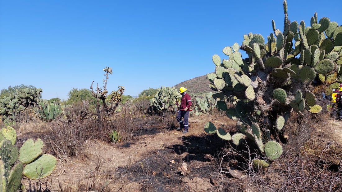 Prevén aumento de incendios forestales en Hidalgo durante 2026 | Foto: Lorena Rosas