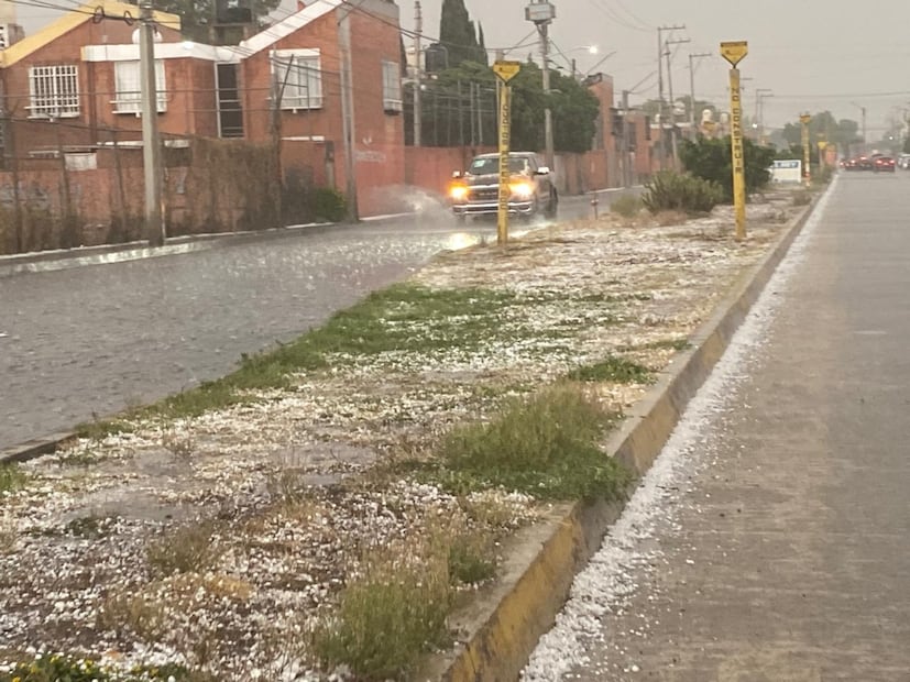 Foto: Luis Soriano