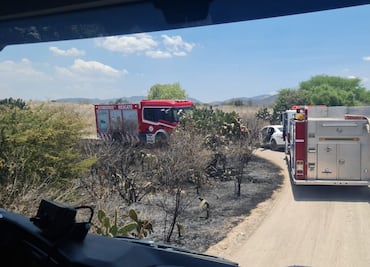 Monitorean incendio forestal en cerro cercano a Tula; descartan riesgos para la población