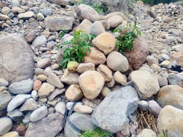 Hallan cuerpo en arroyo de Tezontepec de Aldama; estaba oculto entre piedras