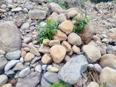 Hallan cuerpo en arroyo de Tezontepec de Aldama; estaba oculto entre piedras