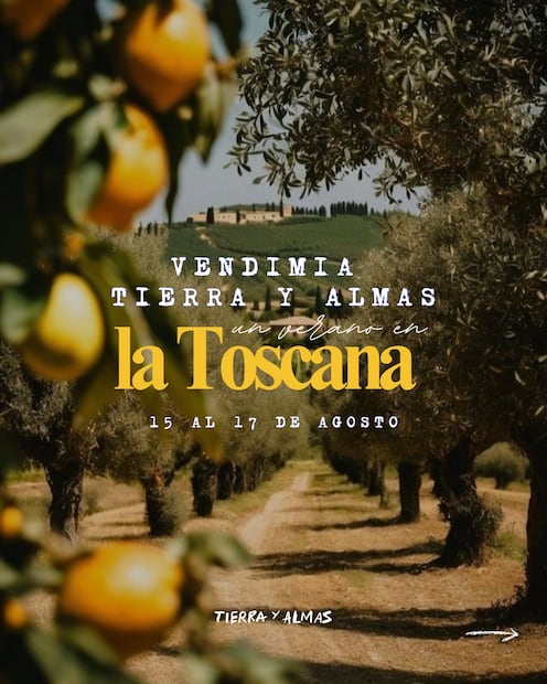 Tecozautla celebra su primera vendimia: Tierra y Almas 2025 llega al Valle del Mezquital | Facebook: Tierra y Almas