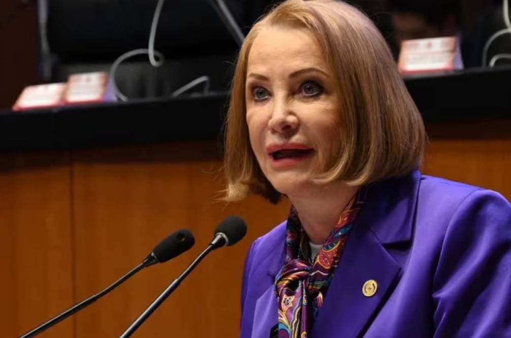 Laura Itzel Castillo, senadora de Morena. Foto: Especial