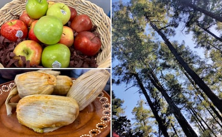 Presentan la décima edición de la Feria del Elote y la Manzana en Carboneras, Mineral del Chico