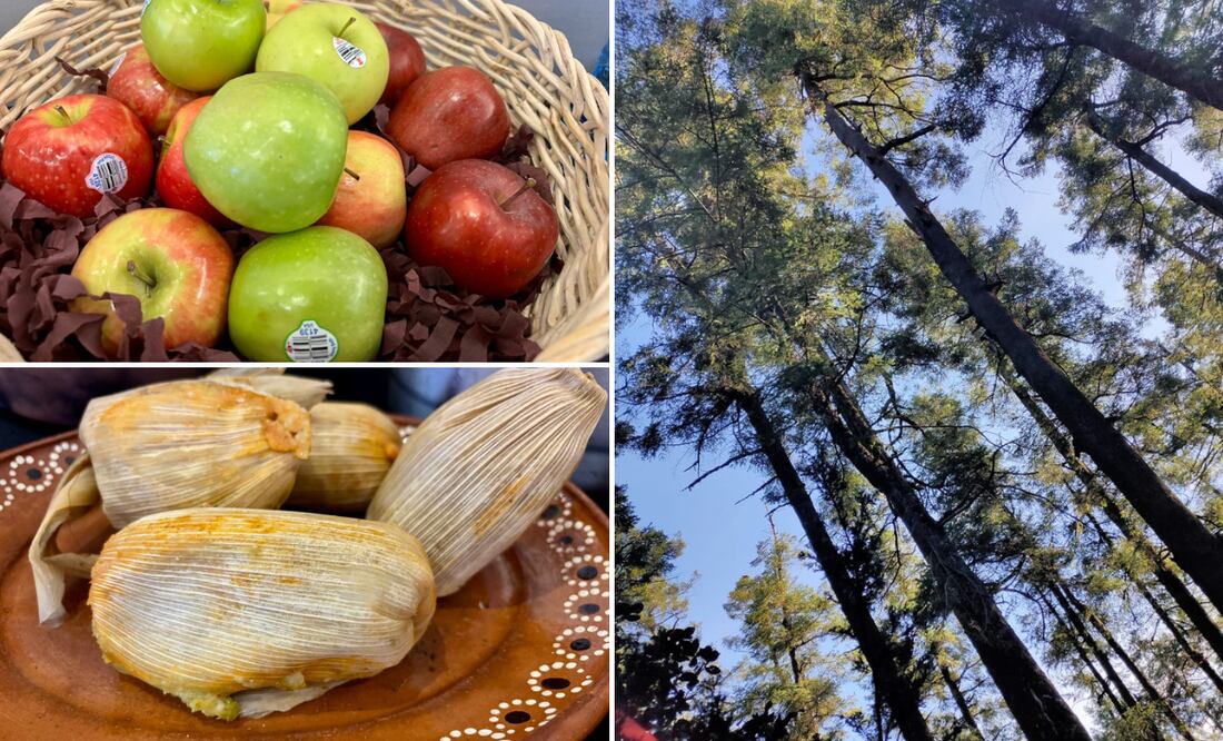 ¡La tradición y el sabor de Hidalgo te esperan en Carboneras! Fotos: Turismo Hidalgo