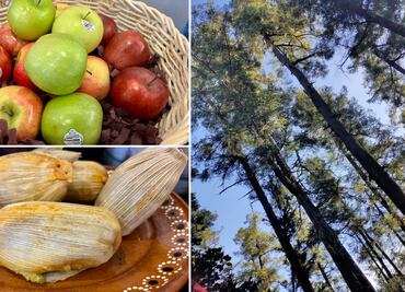 Presentan la décima edición de la Feria del Elote y la Manzana en Carboneras, Mineral del Chico