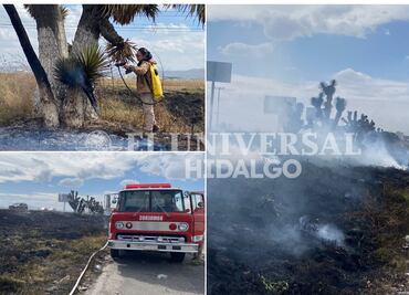 Video: Incendio de pastizal provoca humareda en la México-Pachuca