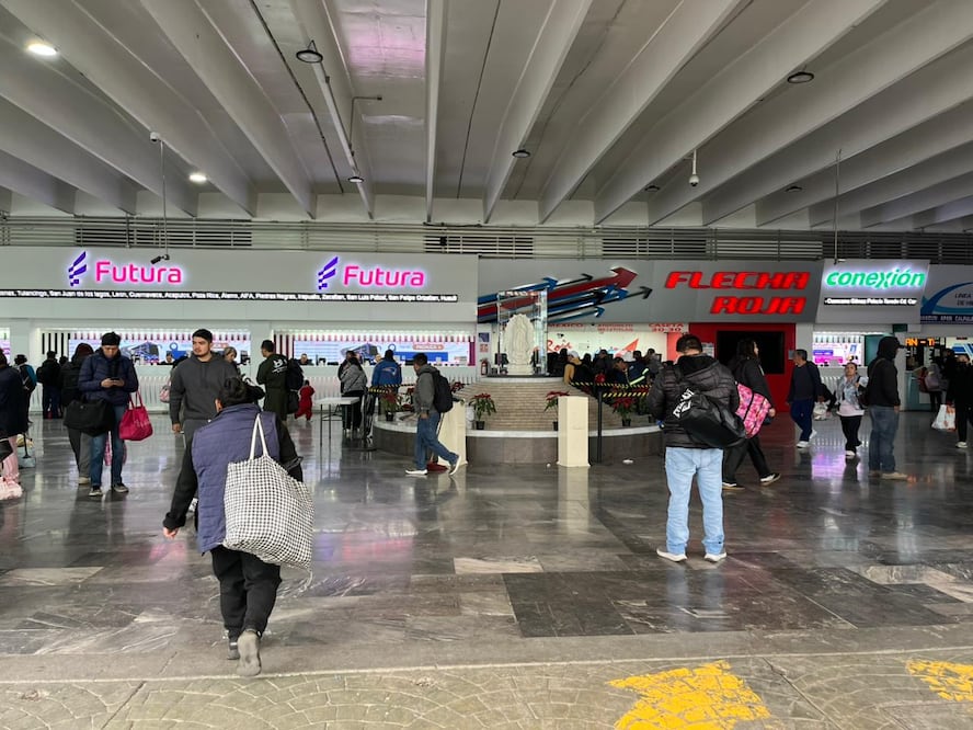 Las compañías señalaron que reanudarán operaciones cuando existan condiciones que garanticen la seguridad de los pasajeros | Foto: Ricardo Calleja