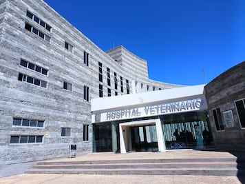 Uso de simuladores, para reforzar aprendizaje a futuros médicos y veterinarios