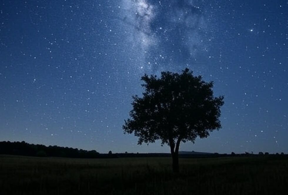 Cielo estrellado I Foto: Grok IA