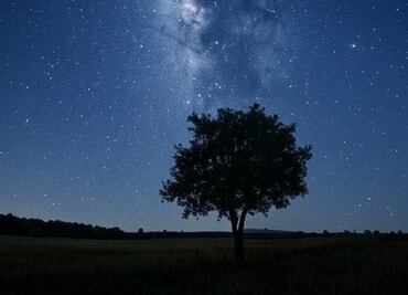 Desfile planetario: 6 planetas adornarán el cielo nocturno; descubre la fecha