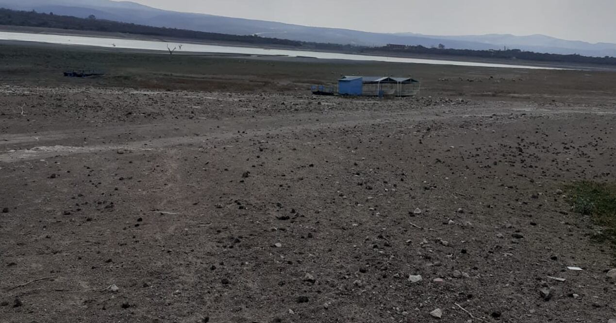 Foto: Miriam Avilés