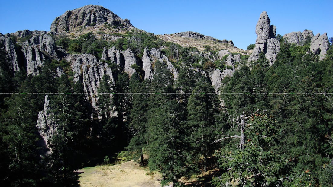 Parque Nacional El Chico: frescura entre niebla y montañas | Foto: MéxicoParque Nacional El Chico, Hgo.