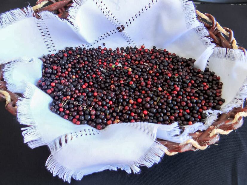 Se acerca el Festival Anual del Cahuiche en Omitlán | Foto: Cortesía