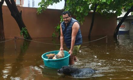 No los dejan en el abandono; acapulqueños rescatan a sus mascotas tras el paso del huracán "John"