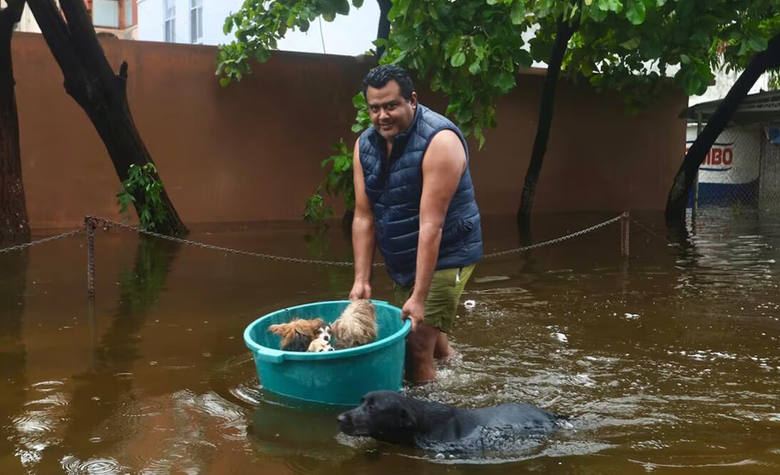 Acapulqueños utilizan sus recursos para rescatar a sus mascotas. Foto: Valente Rosas / EL UNIVERSAL