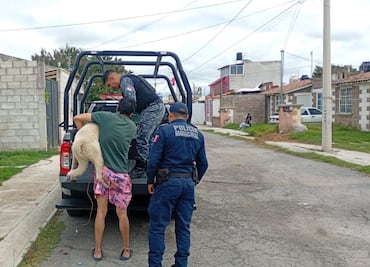 Evidencian en redes nuevo caso de maltrato animal en Tulancingo