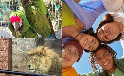 Buscan jóvenes voluntarios para el rescate y rehabilitación de fauna en Pachuca