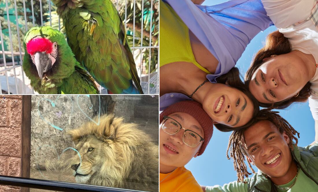 Facebook: Unidad de Rehabilitación de Fauna Silvestre Pachuca | Foto: capturenow