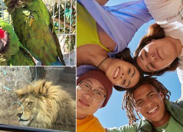 Buscan jóvenes voluntarios para el rescate y rehabilitación de fauna en Pachuca