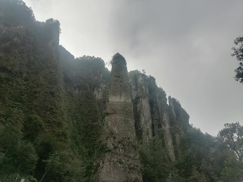 El Cirio: el guardián sagrado de Tenango de Doria que une historia, naturaleza y espiritualidad | Foto: Wikiloc