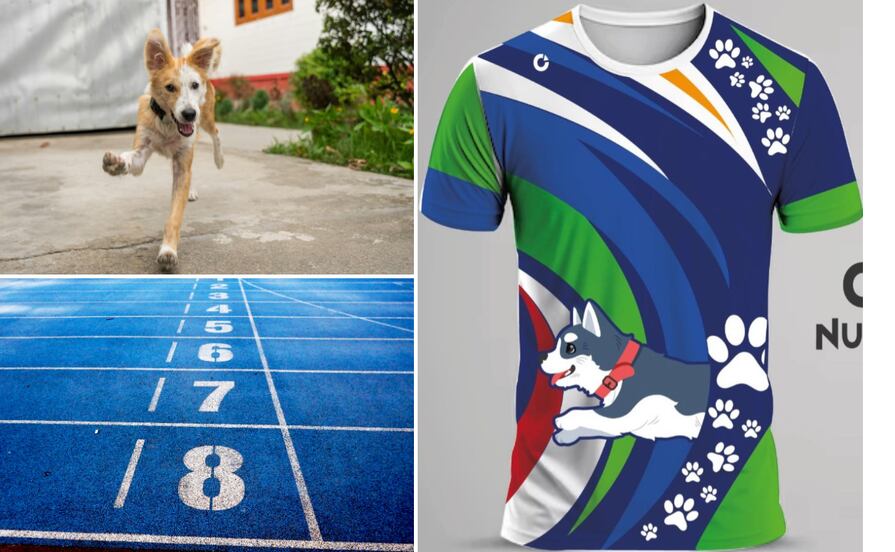 Convocan a carrera con causa y evento de concientización en favor del bienestar animal en Mineral del Chico