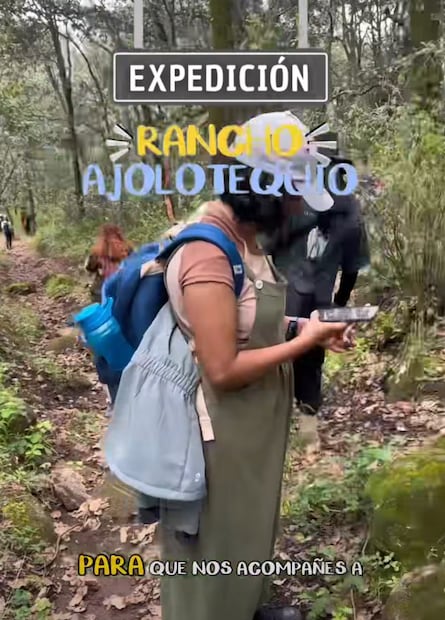 Una población de ajolotes en Hidalgo podría estar enfrentando un deterioro en su hábitat | Captura de video