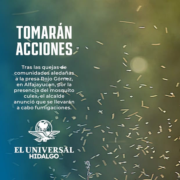 Anuncian fumigación en Cerro Azul y presa Javier Rojo Gómez contra mosquito culex | Diseño: Saúl Barrera