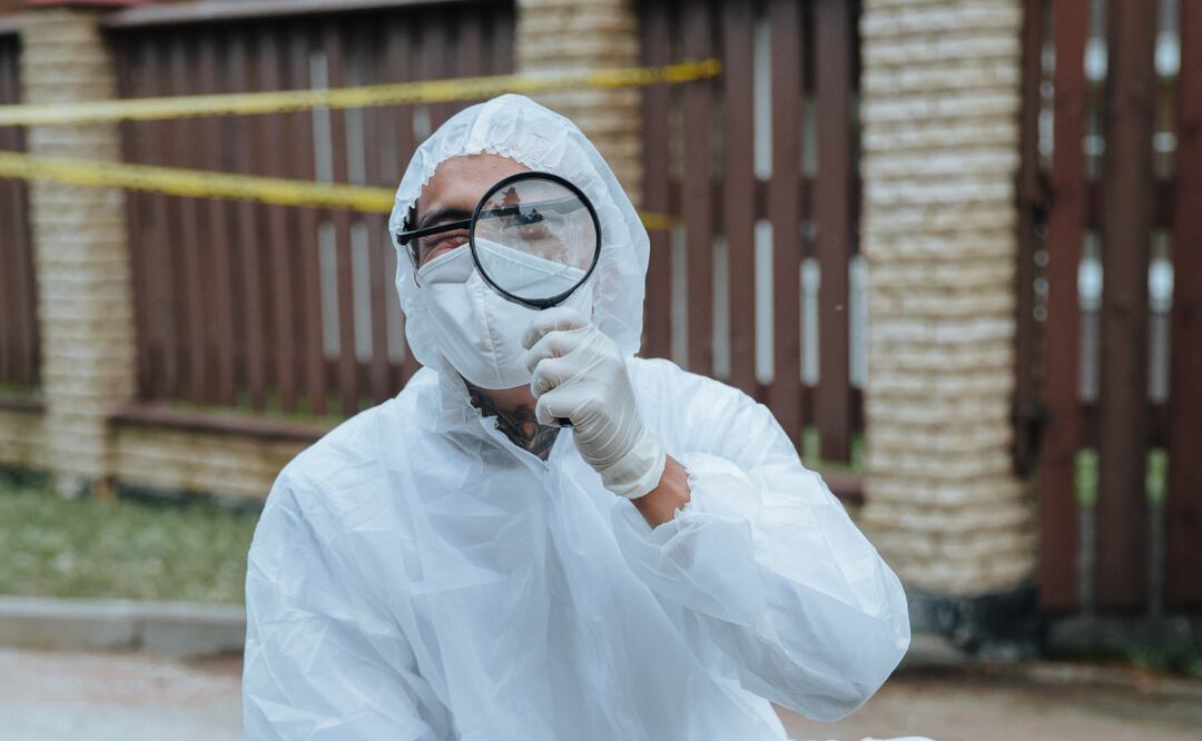 En lo que va del primer semestre de 2024 se han registrado 149 homicidios dolosos | Foto: Pexels