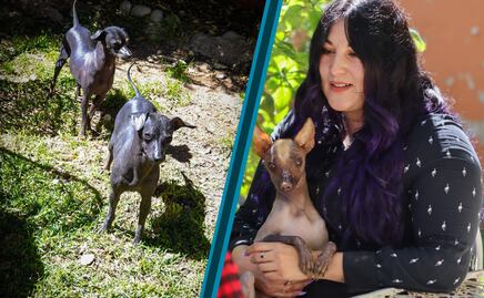 Los guardianes del inframundo: el legado vivo del xoloitzcuintle en Hidalgo