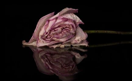 Hidalgo suma ocho feminicidios en 2025; el caso de Rosaura conmociona al país