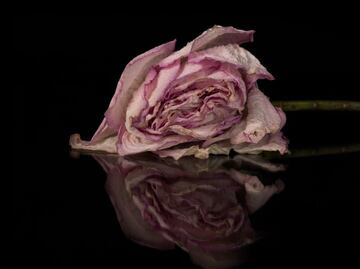 Hidalgo suma ocho feminicidios en 2025; el caso de Rosaura conmociona al país