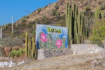 Entre barrancas y adrenalina, Koua se abre paso como joya de aventura en Ixmiquilpan