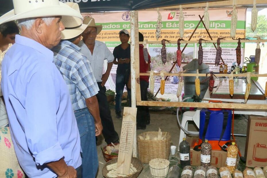 Empresa interesada en hidalguenses para trabajo temporal | Foto: Especial