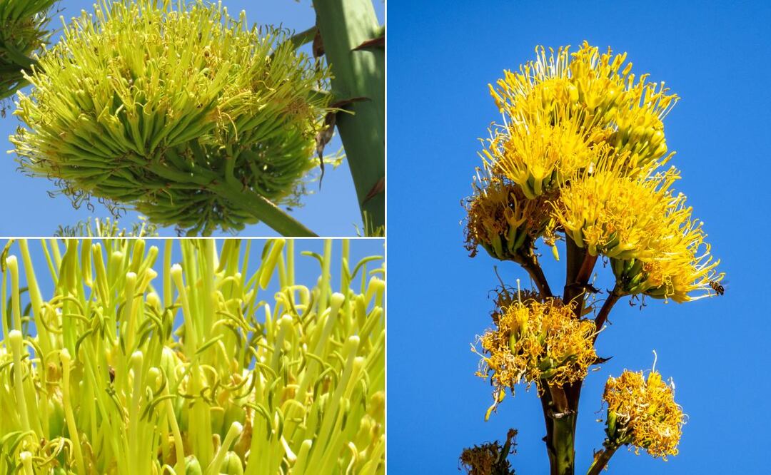 Imágenes ilustrativas