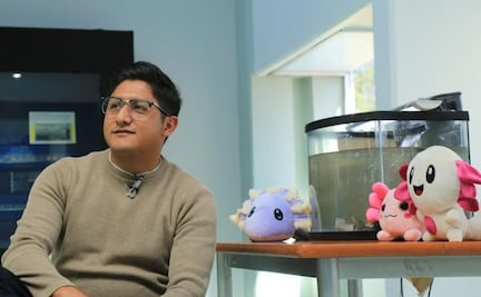 Conmemoran el Día del Ajolote en Toluca