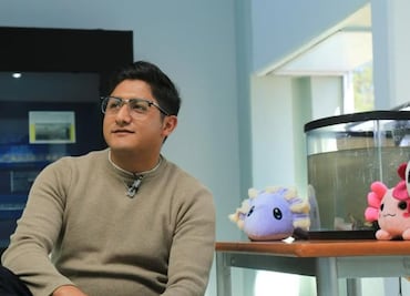 Conmemoran el Día del Ajolote en Toluca