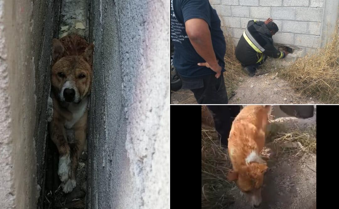 Fotos: Redes Sociales