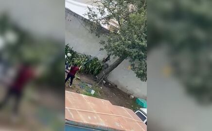 Investigan caso de maltrato animal en Tulancingo; el can fue colgado como castigo