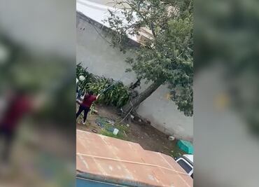 Investigan caso de maltrato animal en Tulancingo; el can fue colgado como castigo