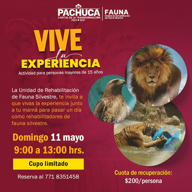 Facebook: Unidad de Rehabilitación de Fauna Silvestre Pachuca