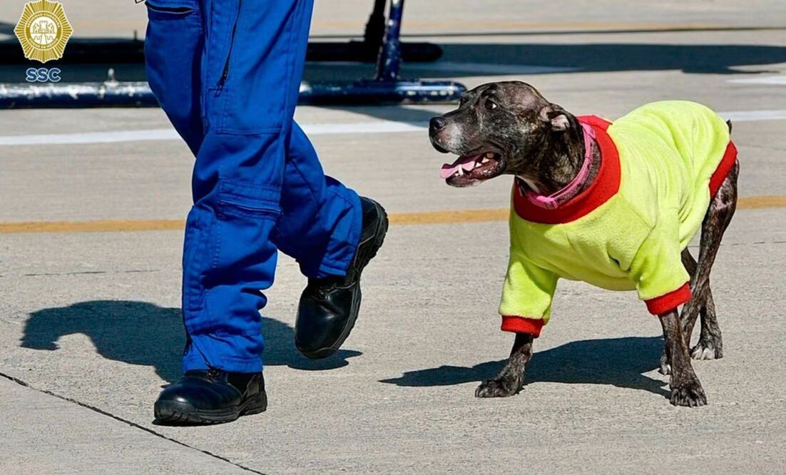 Saludo a todos pese al dolor se sus lesiones |Foto: Especial