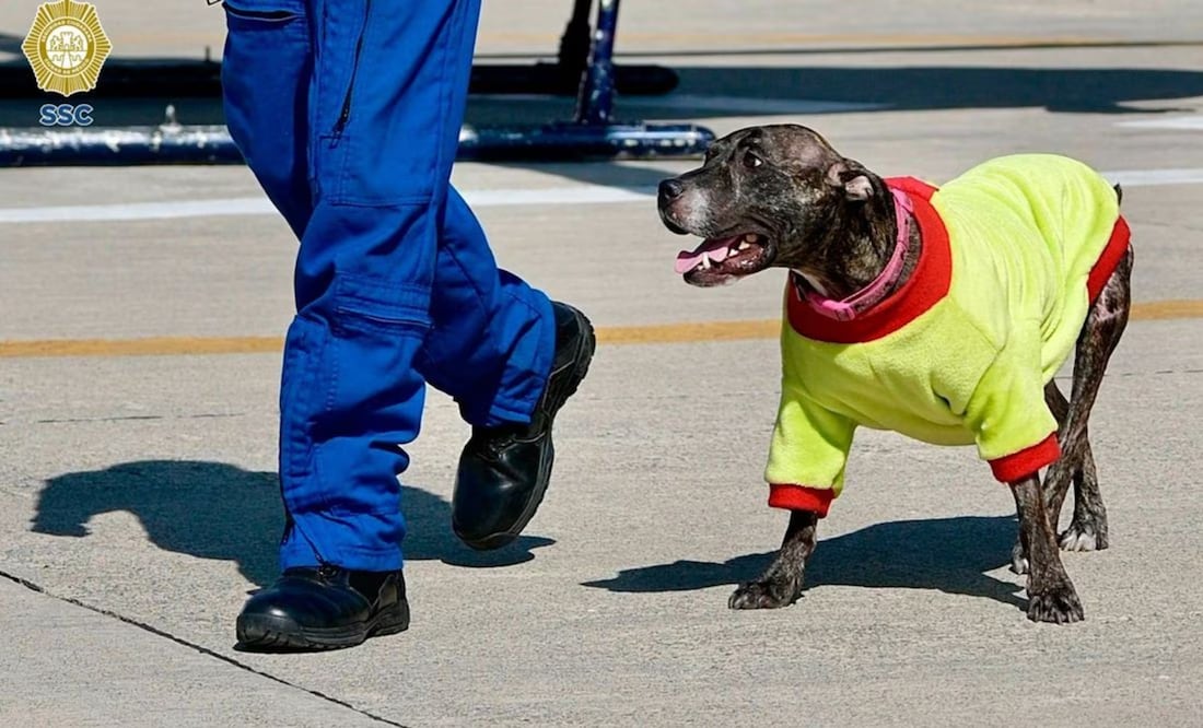Saludo a todos pese al dolor se sus lesiones |Foto: Especial