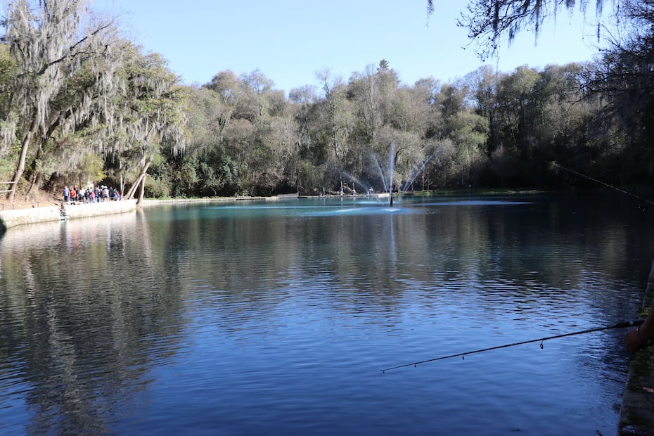 Bosque de las Truchas: naturaleza viva entre agua y sombra | Foto: El bosque de las truchas