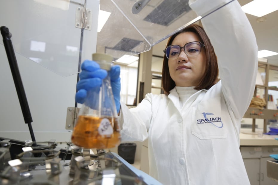 Crean en Hidalgo bebida fermentada con cebada y pulque que podría ayudar a prevenir el cáncer de colon | Foto: UAEH