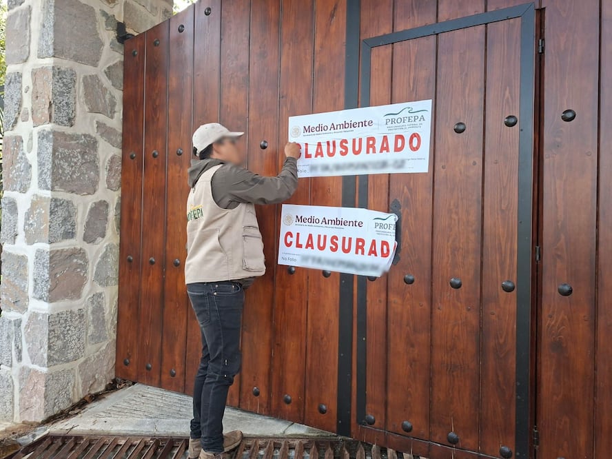 La superficie total afectada es de 2 mil 547 metros cuadrados | Foto: especial