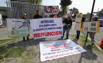 Activistas se manifiestan por mascota ahorcada en Edomex
